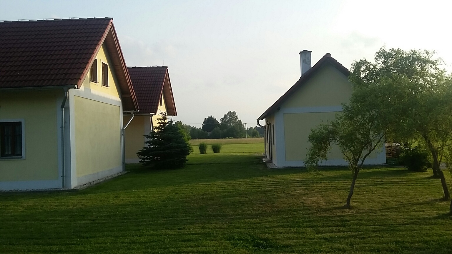 20180608_195239_resized